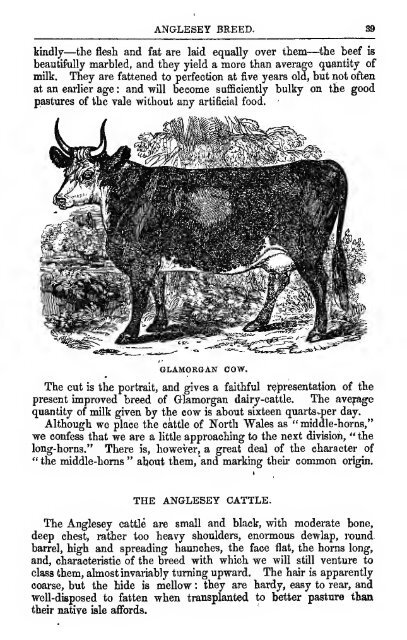 Cattle 1853 - Lewis Family Farm