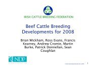 Beef Cattle Breeding Developments for 2008 - ICBF