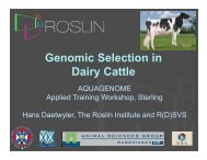 Genomic Selection in Dairy Cattle