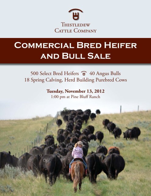 Commercial Bred Heifer and Bull Sale - The Cattle Range