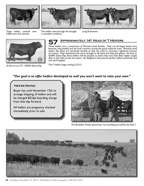 Commercial Bred Heifer and Bull Sale - The Cattle Range