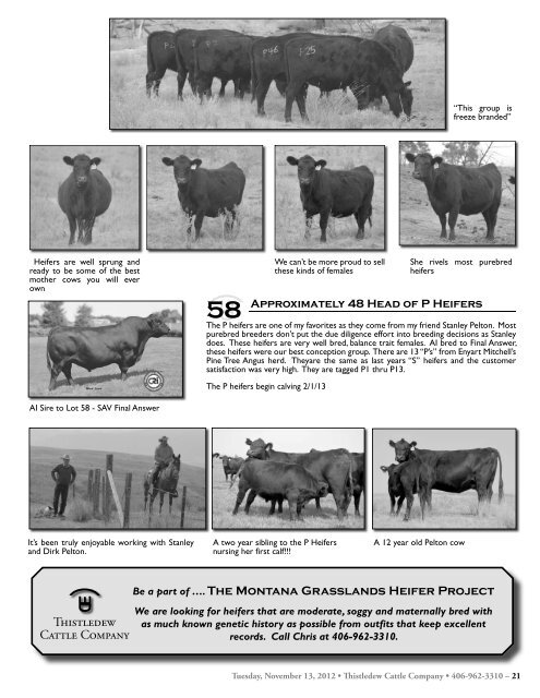 Commercial Bred Heifer and Bull Sale - The Cattle Range