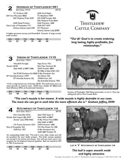 Commercial Bred Heifer and Bull Sale - The Cattle Range