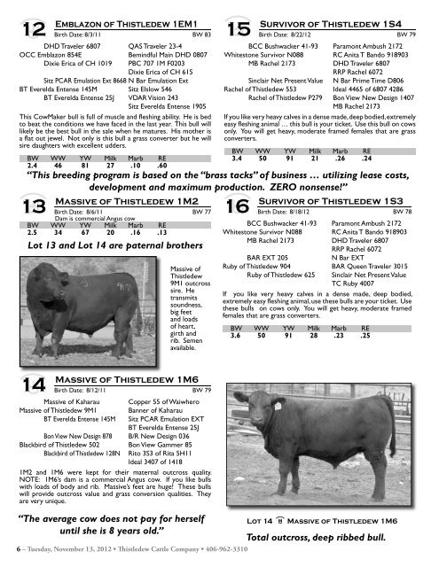 Commercial Bred Heifer and Bull Sale - The Cattle Range