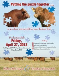 Kuhn's Red Angus - Cow Camp Promotions