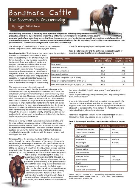 Bonsmara Cattle - Crossbreeding.pdf - ADESSUS