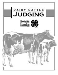 PDF - P0194 Dairy Cattle Judging - MSUcares