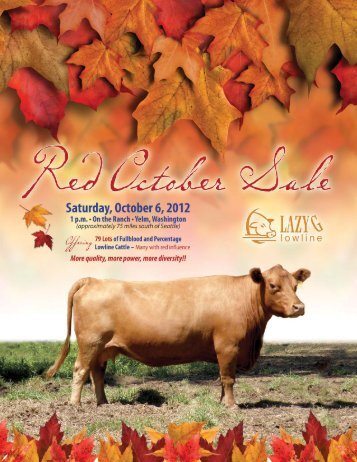 Red October Lowline Sale - Cow Camp Promotions