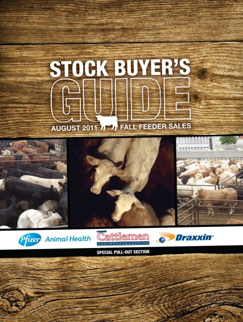 Stock Buyer S