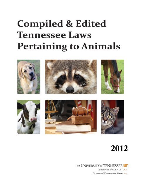 Lori Funderburg The University Of Tennessee College Of Veterinary