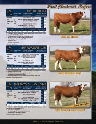 Bred Fleckvieh Heifers - Fullblood Simmental Fleckvieh Federation