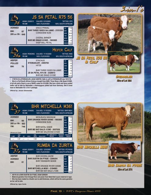 Bred Fleckvieh Heifers - Fullblood Simmental Fleckvieh Federation