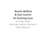 Bovine Welfare & Pain Control An Evolving Issue - SAVT