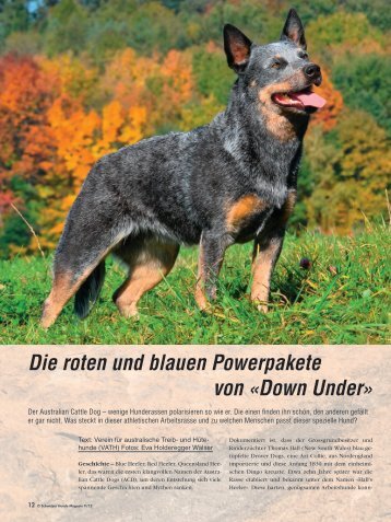 "Schweizer Hunde Magazin" Ausgabe 09/12 - Verein für ...