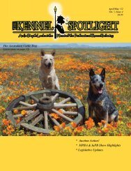 The Australian Cattle Dog - Kennel Spotlight