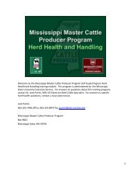 Welcome to the Mississippi Master Cattle Producer ... - MSUcares