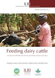 Feeding dairy cattle - International Livestock Research Institute (ILRI)