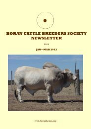 BCBS 1st Quarter 2012 Newsletter click here to - Boran Cattle ...