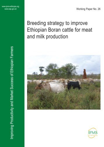 Breeding strategy to improve Ethiopian Boran cattle for meat and ...