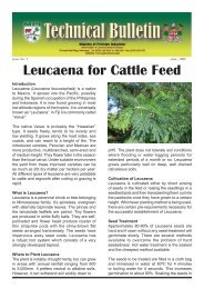 Leucaena for Cattle Feed - MPI - Ministry of Primary Industries