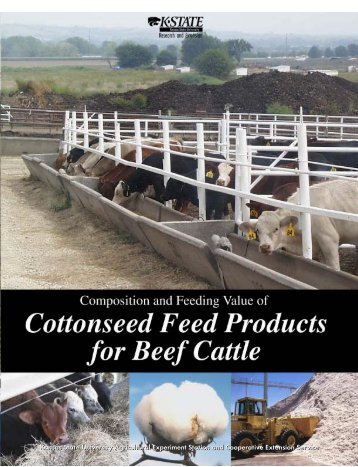 MF2538 Composition and Feeding Value of Cottonseed Feed ...