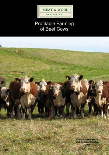 Profitable Farming of Beef Cows - Beef + Lamb New Zealand