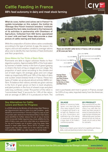 Cattle Feeding in France - Civ - Centre d'Information des Viandes