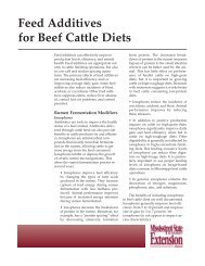 P2518 Feed Additives for Beef Cattle Diets - MSUcares