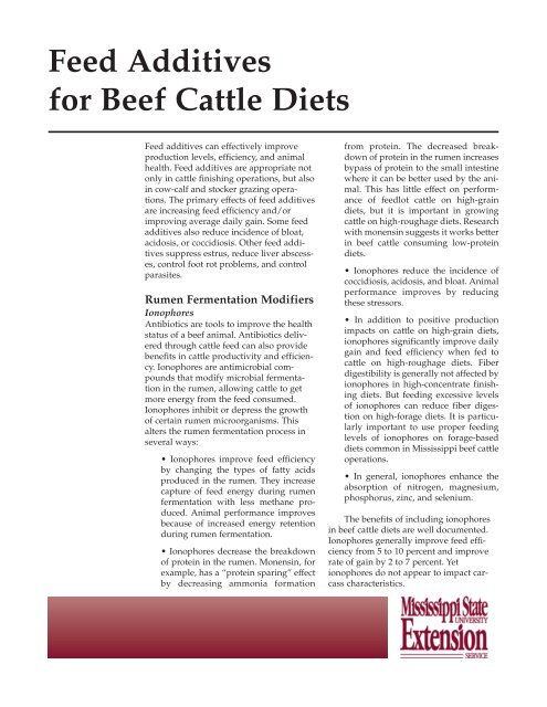 P2518 Feed Additives For Beef Cattle Diets Msucares