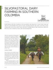 SILVOPASTORAL DAIRY FARMING IN SOUTHERN COLOMBIA