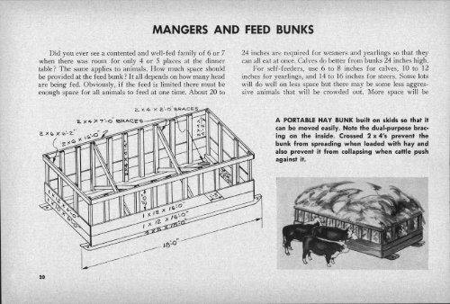 BEEF CATTLE