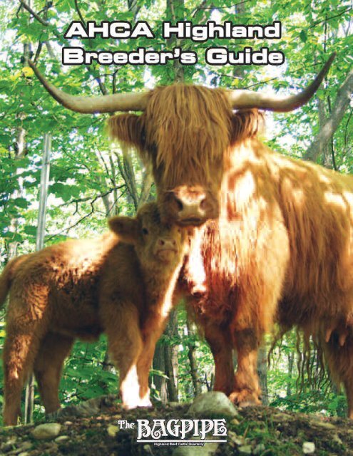 https://img.yumpu.com/11742541/1/500x640/the-bagpipe-american-highland-cattle-association.jpg