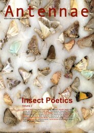 Insect Poetics - Antennae The Journal of Nature in Visual Culture