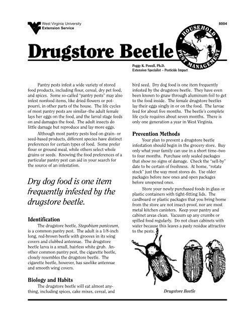 Drugstore Beetle West Virginia University