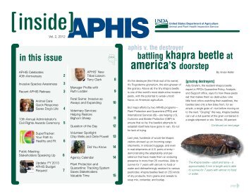 battling khapra beetle at - aphis