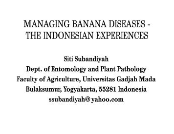 managing banana diseases - International Tropical Fruits Network