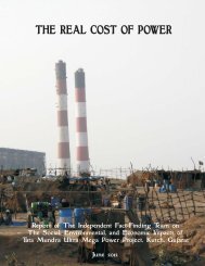 The Real Cost of Power - Bank Information Center