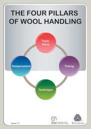 the four pillars of wool handling - Australian Wool Innovation