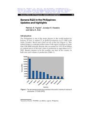 Banana R&D in the Philippines: Updates and highlights - Musalit