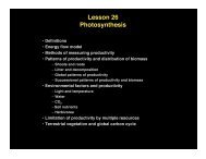 Lesson 26 Photosynthesis - Alaska Geobotany Center