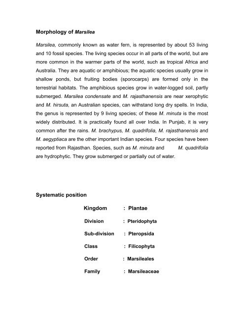 Morphology of Marsilea Systematic position Kingdom : Plantae - CEC