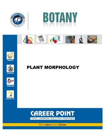 PLANT MORPHOLOGY - Career Point