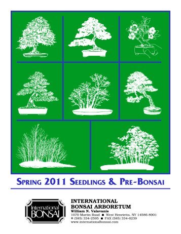 spring 2011 seedlings & pre-bonsai - International Bonsai Arboretum