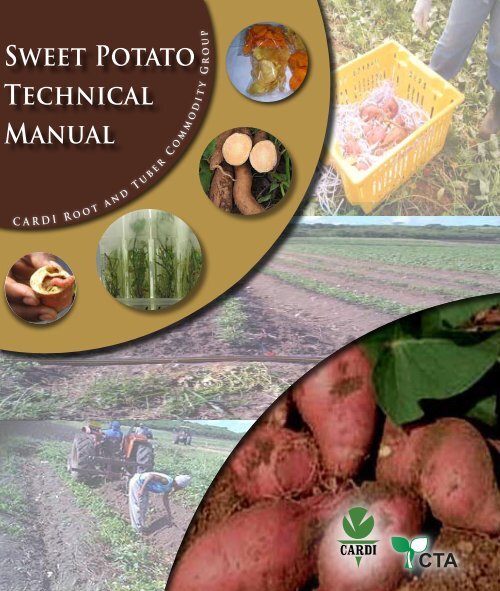 Sweet Potato Technical Manual - Caribbean Agricultural Research ...