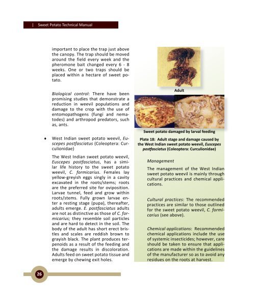 Sweet Potato Technical Manual - Caribbean Agricultural Research ...