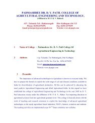 B. Tech. Info - Dr. DY Patil Agri. Engineering College