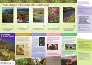 The development of blanket bog in the North Pennines Peatlands…
