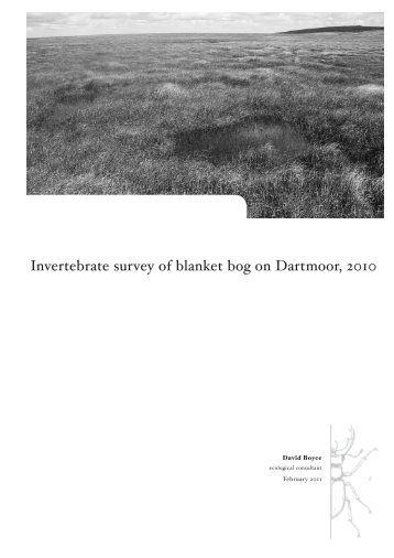 Invertebrate survey of blanket bog on Dartmoor, 2010