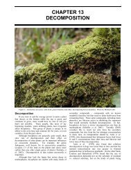 CHAPTER 13 DECOMPOSITION - Bryophyte Ecology - Michigan ...