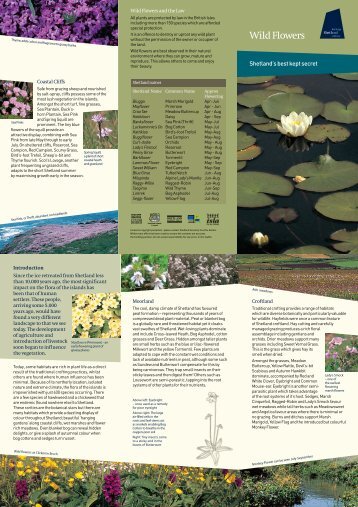Wild Flowers leaflet - Shetland Heritage